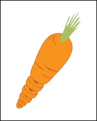 fv05 db_Carrot_8_x_101