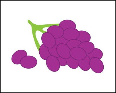 fv08 db_Grapes_8_x_101