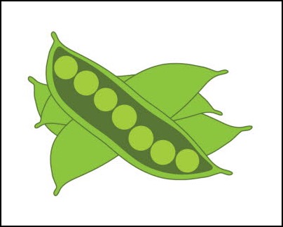 fv19 db_Snap_Peas_8_x_101